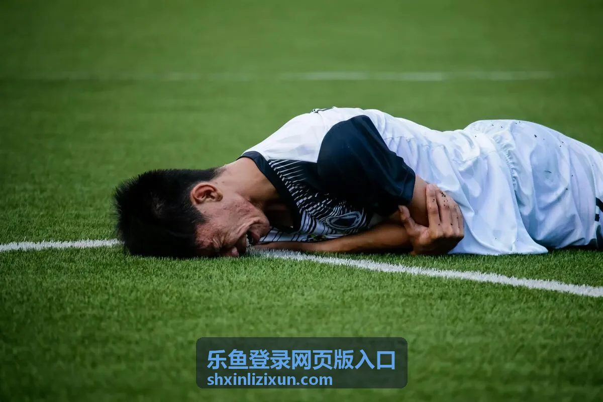 乐鱼平台安全登录服务